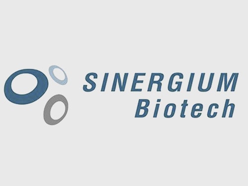 Sinergium